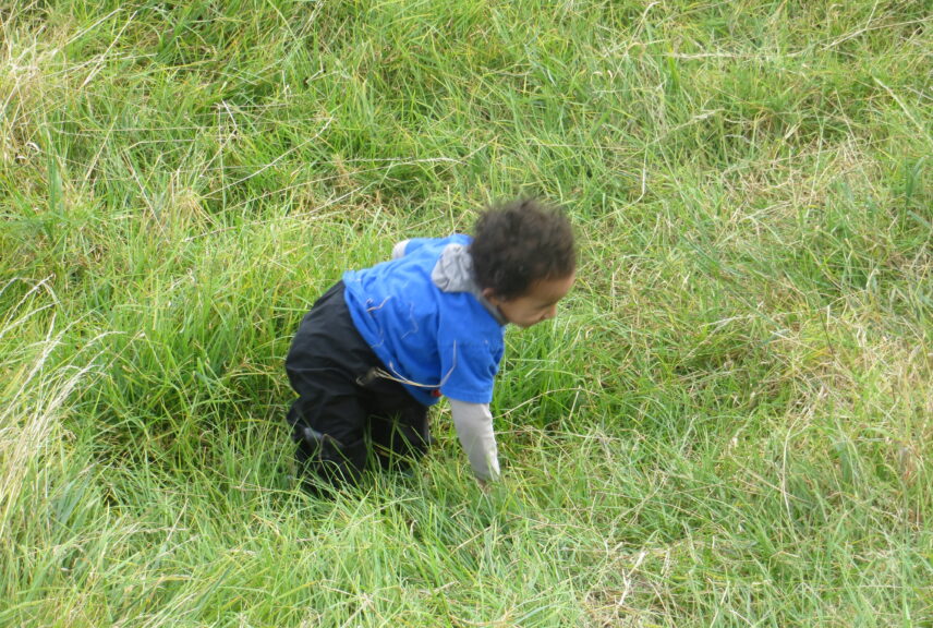 Heading up the Maunga…..